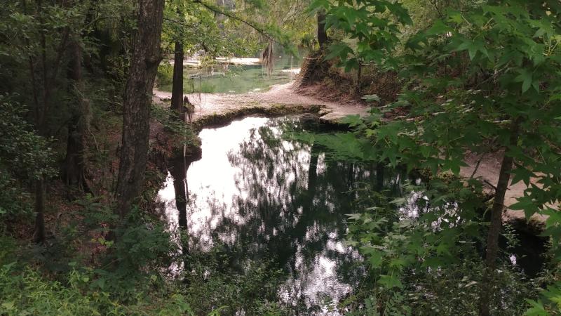 Overlooking Lafayette Blue Springs